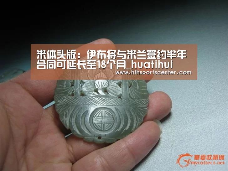 华体会官网网页版