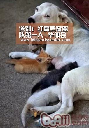 华体会
