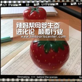 辣妈帮母婴生态进化论 颠覆行业旧格局‘huatihui’(图4) 华体会网站
